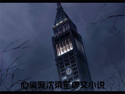 心尖宠沈梁笙在线阅读全文 (心尖宠沈梁笙免费大结局)小说无弹窗广告