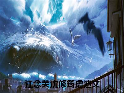 江念芙沈修筠「精彩小说」无弹窗阅读 江念芙沈修筠大结局阅读