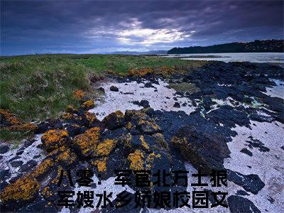 小说柳春桃顾北山全文免费阅读无弹窗大结局_（八零：军官北方土狼军嫂水乡娇娘）全文在线阅读