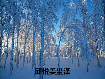 邱悦姜尘泽全集完整版大结局-邱悦姜尘泽小说在线赏析