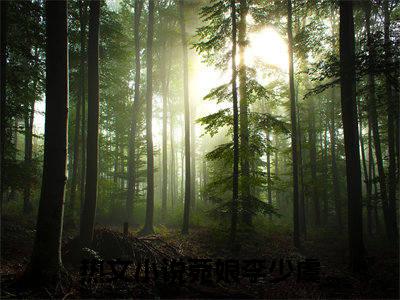 观音婢免费阅读菀娘李少虞最新章节目录