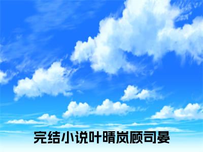 叶晴岚顾司晏阅读无弹窗大结局_（叶晴岚顾司晏阅读无弹窗）最新章节列表_笔趣阁（叶晴岚顾司晏）