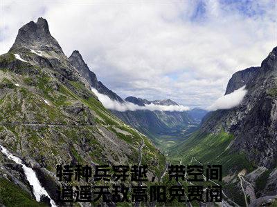 特种兵穿越，带空间逍遥无敌高阳（特种兵穿越，带空间逍遥无敌高阳）全集免费阅读无弹窗_特种兵穿越，带空间逍遥无敌高阳最新章节列表