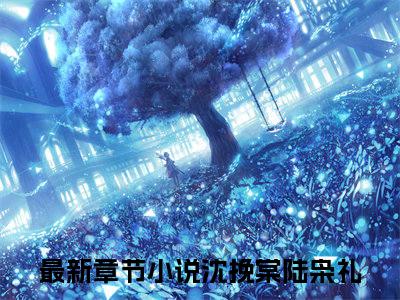 沈挽棠陆枭礼正版小说全文阅读-沈挽棠陆枭礼小说免费阅读
