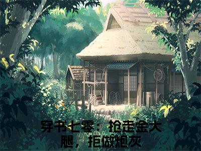 穿书七零：抢走金大腿，拒做炮灰（宁溪）小说免费下载全本-穿书七零：抢走金大腿，拒做炮灰（宁溪完整版）免费阅读无弹窗