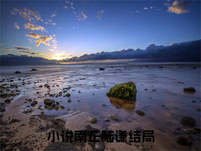 南芷陆谦免费小说全文免费阅读无弹窗大结局_南芷陆谦完结版在线阅读