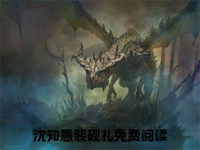 沈知意裴砚礼全文+后续（沈知意裴砚礼）全文免费阅读无弹窗大结局_（沈知意裴砚礼全文+后续）沈知意裴砚礼免费阅读无弹窗最新章节列表（沈知意裴砚礼全文+后续）