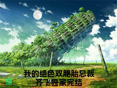 我的绝色双胞胎总裁齐飞精彩热门小说_我的绝色双胞胎总裁齐飞小说全文免费阅读_最新章节列表_笔趣阁