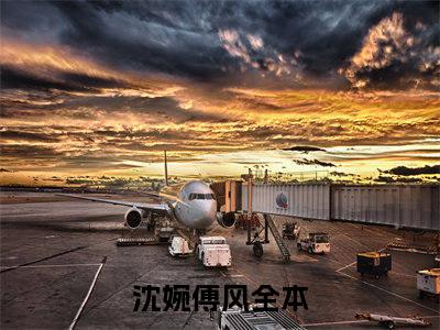 沈婉傅风全文+番外免费阅读_（沈婉傅风全文+番外免费阅读无弹窗）沈婉傅风最新章节列表笔趣阁（沈婉傅风全文+番外）