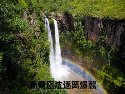 萧霓凰沈遂离无删减（萧霓凰沈遂离）全文免费阅读无弹窗大结局_萧霓凰沈遂离最新章节列表（萧霓凰沈遂离）