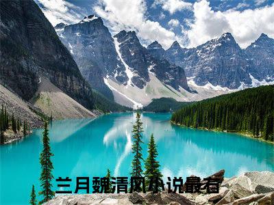 兰月魏清风免费小说 兰月魏清风在线阅读
