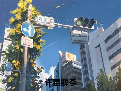 许莓薛岑书名是《许莓薛岑》在线赏析_许莓薛岑txt小说阅读_许莓薛岑在线阅读笔趣阁
