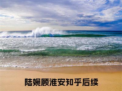 陆婉顾淮安小说全文免费阅读无弹窗-正版小说全文阅读