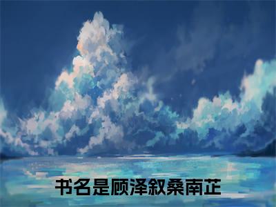 顾泽叙桑南芷（顾泽叙桑南芷）小说推荐精彩章节全文阅读-热门小说顾泽叙桑南芷精选章节阅读