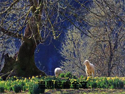 温惠陆睿抖音完结版阅读《温惠陆睿抖音》最新章节目录好书推荐_(温惠陆睿)