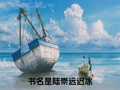 你好，我想交易一场爱情（陆崇远迟冰）全文在线免费阅读无弹窗_你好，我想交易一场爱情最新章节列表_笔趣阁