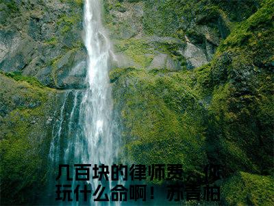 几百块的律师费，你玩什么命啊！苏青柏后续+番外（几百块的律师费，你玩什么命啊！苏青柏）全文免费阅读无弹窗大结局_几百块的律师费，你玩什么命啊！苏青柏后续+番外免费阅读_笔趣阁（几百块的律师费，你玩什么命啊！苏青柏后续+番外）