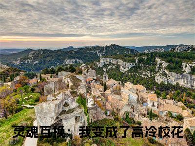 灵魂互换：我变成了高冷校花（林洛苏曦）全文免费阅读无弹窗大结局_灵魂互换：我变成了高冷校花最新章节列表_笔趣阁（免费+番外）