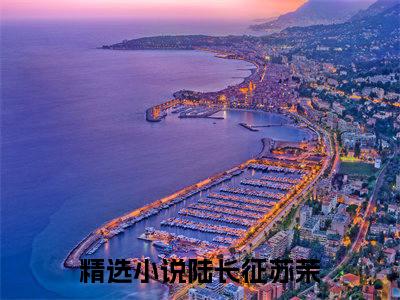 陆长征苏茉（闪婚军官后，炮灰在七零开挂逆袭）全集免费阅读无弹窗_（闪婚军官后，炮灰在七零开挂逆袭小说免费阅读）_笔趣阁