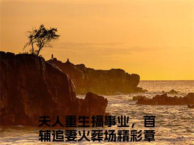 夫人重生搞事业，首辅追妻火葬场是什么小说-谢云戈宋青蓝小说夫人重生搞事业，首辅追妻火葬场全文阅读