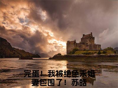 完蛋！我被绝色未婚妻包围了！苏皓全文免费阅读无弹窗(小说全文免费阅读)完蛋！我被绝色未婚妻包围了！苏皓最新章节列表_笔趣阁