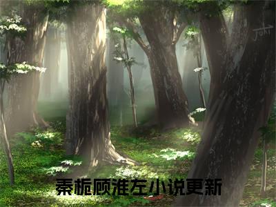 秦栀顾淮左好书秦栀顾淮左免费赏析-《秦栀顾淮左》小说分享全集