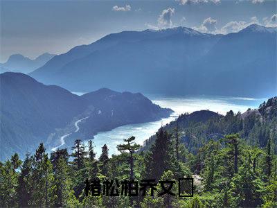 主角是《褚松柏乔文珺》的小说强推-爱情小说免费阅读-褚松柏乔文珺