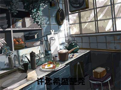 他终究是把属于她的心，彻底交给了别人全文免费阅读无弹窗大结局_（许念希盛楚尧免费阅读）他终究是把属于她的心，彻底交给了别人最新章节列表_笔趣阁