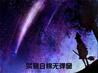 贺骁白棉全文免费最后一章在线阅读 贺骁白棉全文小说完整版