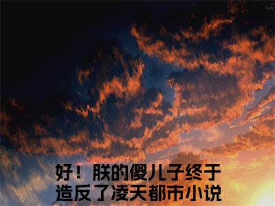 好！朕的傻儿子终于造反了凌天「精彩小说」无弹窗阅读 好！朕的傻儿子终于造反了凌天大结局阅读