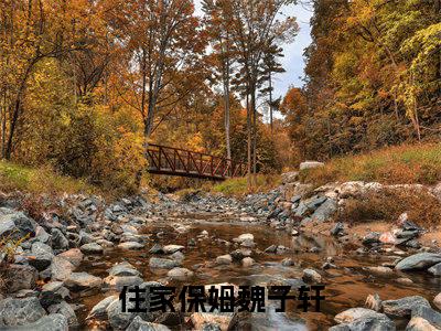 住家保姆魏子轩（住家保姆魏子轩）全文免费阅读无弹窗大结局_（住家保姆魏子轩全文免费阅读无弹窗）住家保姆魏子轩最新章节列表_笔趣阁（住家保姆魏子轩）