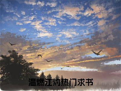 温燃江灼小说免费阅读-温燃江灼无广告全文阅读