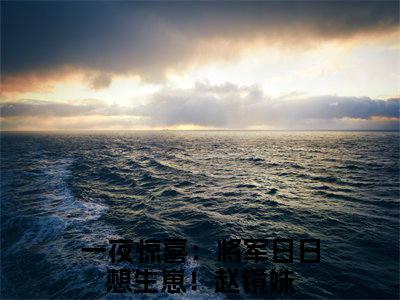抖音新书热荐小说（一夜惊喜：将军日日想生崽！赵镜姝）主角是（一夜惊喜：将军日日想生崽！赵镜姝）小说免费阅读小说无弹窗阅读_笔趣阁