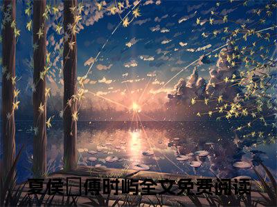 夏侯氿傅时屿小说免费阅读夏侯氿傅时屿完整版全文大结局