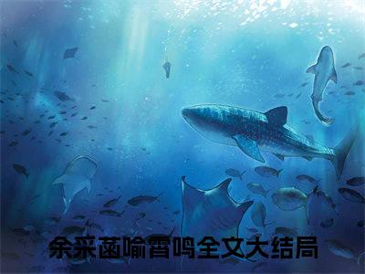 余采菡喻霄鸣小说全文-余采菡喻霄鸣小说免费阅读大结局