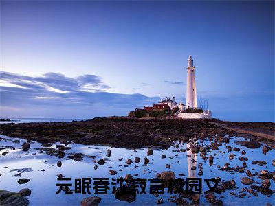 精选好书（元眠春沈寂言），元眠春沈寂言全文无删减版在线阅读