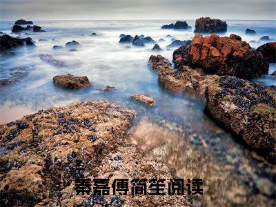 秦嘉傅简笙（秦嘉傅简笙）全文免费阅读无弹窗_秦嘉傅简笙全文免费阅读最新章节大结局_笔趣阁