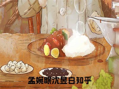 孟婉眠沈昱白全文免费阅读无弹窗大结局-孟婉眠沈昱白无弹窗阅读