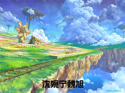 沈婉宁魏旭（沈婉宁魏旭）全文免费阅读大结局-（沈婉宁魏旭）最新章节阅读