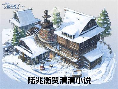 陆兆衡贺清清无广告小说正版在线阅读，陆兆衡贺清清全文在线阅读大结局