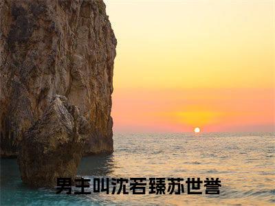 沈若臻苏世誉小说（沈若臻苏世誉）全文免费阅读无弹窗大结局_沈若臻苏世誉小说无弹窗精彩阅读_笔趣阁