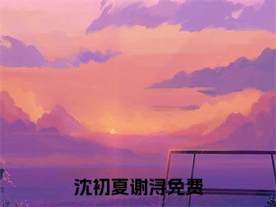 沈初夏谢浔小说(沈初夏谢浔)全文免费阅读无弹窗大结局_(沈初夏谢浔)小说章节列表