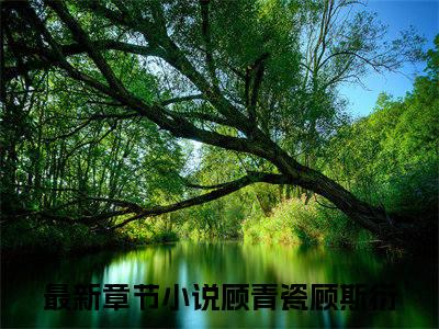 顾青瓷顾斯衍全文免费阅读（顾青瓷顾斯衍免费阅读无弹窗）顾青瓷顾斯衍最新章节列表_笔趣阁