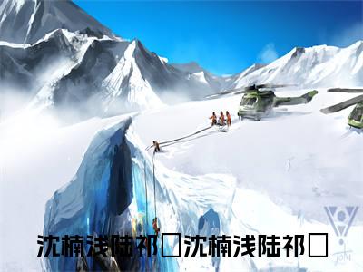 沈楠浅陆祁陽txt（沈楠浅陆祁陽）全文免费阅读无弹窗大结局_沈楠浅陆祁陽最新章节列表_笔趣阁（沈楠浅陆祁陽）