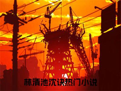 林清池沈诀（林清池沈诀）全文免费阅读无弹窗大结局_林清池沈诀全文在线阅读无弹窗