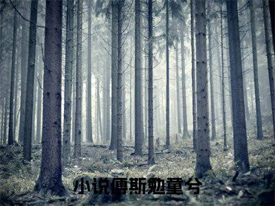 傅斯勉童兮（傅斯勉童兮）小说推荐精彩章节全文阅读-热门小说傅斯勉童兮精选章节阅读