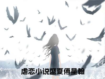高赞小说盛夏傅星翰（盛夏傅星翰小说免费阅读）完结阅读_盛夏傅星翰小说免费阅读免费看全文