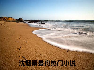 精选好书（沈烟秦晏舟），沈烟秦晏舟全文无删减版在线阅读