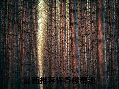 许乔樱秦池小说最后结局(许乔樱秦池)完结版免费阅读