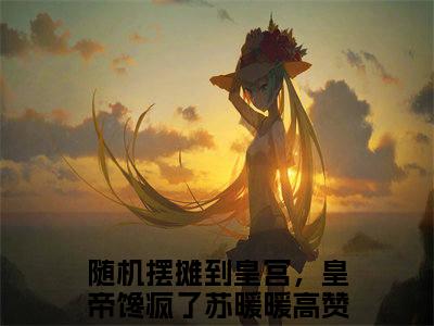 随机摆摊到皇宫，皇帝馋疯了苏暖暖是哪部小说的主角-（随机摆摊到皇宫，皇帝馋疯了苏暖暖）全文无弹窗完整版阅读